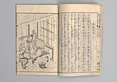 Illustrated “Anthology of Tang-Dynasty Poems” in Five-Syllable Lines (Tōshisen ehon gogon ritsu hairitsu) 画本唐詩選五言律排律, Katsushika Hokusai 葛飾北斎 (Japanese, Tokyo (Edo) 1760–1849 Tokyo (Edo)), Format: 5 volumes, fukurotoji (pouch binding); chūbon, Japan