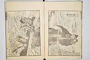 Transmitting the Spirit, Revealing the Form of Things, Volume 6 of Hokusai Sketchbooks (Denshin kaishu: Hokusai manga, gohen), Katsushika Hokusai 葛飾北斎 (Japanese, Tokyo (Edo) 1760–1849 Tokyo (Edo)), Woodblock printed book; ink and color on paper, Japan