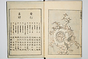 Transmitting the Spirit, Revealing the Form of Things, Volume 6 of Hokusai Sketchbooks (Denshin kaishu: Hokusai manga, gohen), Katsushika Hokusai 葛飾北斎 (Japanese, Tokyo (Edo) 1760–1849 Tokyo (Edo)), Woodblock printed book; ink and color on paper, Japan