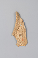 Oracle bone fragment, Inscribed bone, China