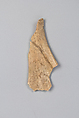 Oracle bone fragment, Inscribed bone, China