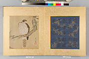 Album of Hawks and Calligraphy, Kano Tsunenobu (Japanese, 1636–1713), Album of ten paintings; ink and color on silk, Japan