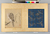 Album of Hawks and Calligraphy, Kano Tsunenobu (Japanese, 1636–1713), Album of ten paintings; ink and color on silk, Japan