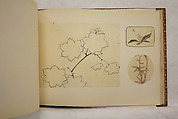 Album of Sketches and Drawings, Unidentified artist, Album; ink and color on paper, Japan