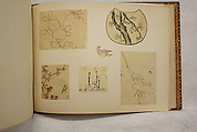 Album of Sketches and Drawings, Unidentified artist, Album; ink and color on paper, Japan