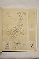 Album of Sketches and Drawings, Unidentified artist, Album; ink and color on paper, Japan