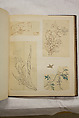 Album of Sketches and Drawings, Unidentified artist, Album; ink and color on paper, Japan