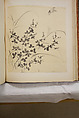 Album of Sketches and Drawings, Unidentified artist, Album; ink and color on paper, Japan