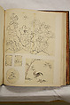 Album of Sketches and Drawings, Unidentified artist, Album; ink and color on paper, Japan