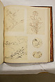 Album of Sketches and Drawings, Unidentified artist, Album; ink and color on paper, Japan
