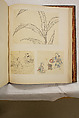 Album of Sketches and Drawings, Unidentified artist, Album; ink and color on paper, Japan