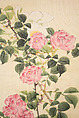 Roses and Field Sparrow (?), Attributed to Hasegawa Gyokuhō (Japanese, 1822–1879), Hanging scroll; ink and color on silk, Japan