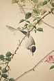 Roses and Field Sparrow (?), Attributed to Hasegawa Gyokuhō (Japanese, 1822–1879), Hanging scroll; ink and color on silk, Japan