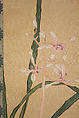 Orchid, Kakutei  (Kaigan Jōkō) (Japanese, 1722–1785), Hanging scroll; ink and color on silk, Japan