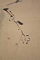 Crested Bird on Stump of Plum Tree, Attributed to Kano Naonobu (Japanese, 1607–1650), Hanging scroll; ink on paper, Japan