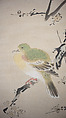 Dove on Plum Tree, Attributed to Kano Tanshin (Morimasa) (Japanese, 1653–1718), Hanging scroll; ink and color on silk, Japan