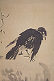 Blackbird on Wave-Swept Rock, Kano School, Hanging scroll; ink on silk, Japan