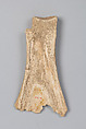 Oracle bone, Inscribed bone, China