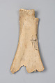 Oracle bone, Inscribed bone, China