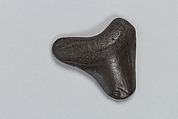 Oracle bone, Fossilized bone, China