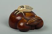 Netsuke of Chestnuts and a Fly, Ivory stained brown, Japan