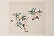 Page from the Ten Bamboo Studio Manual of Painting and Calligraphy, Hu Zhengyan , and others Chinese, Leaf from a printed book; ink and color on paper, China