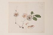 Page from the Ten Bamboo Studio Manual of Painting and Calligraphy, Hu Zhengyan , and others Chinese, Leaf from a printed book; ink and color on paper, China