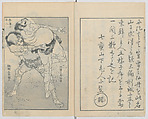 One Hundred Views of Mount Fuji (Fugaku hyakkei, sanpen) 富嶽百景三編, Katsushika Hokusai 葛飾北斎 (Japanese, Tokyo (Edo) 1760–1849 Tokyo (Edo)), Woodblock print; ink and color on paper, Japan