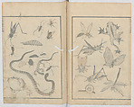 Random Sketches by Hokusai, Volumes 1 to 11, Katsushika Hokusai 葛飾北斎 (Japanese, Tokyo (Edo) 1760–1849 Tokyo (Edo)), Eleven volumes of woodblock printed books; ink and color on paper, Japan