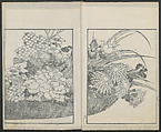 Examples of Hokusai's Drawing (Hokusai gashiki)  北斎画式, Katsushika Hokusai 葛飾北斎 (Japanese, Tokyo (Edo) 1760–1849 Tokyo (Edo)), Ink on paper, Japan
