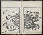 Examples of Hokusai's Drawing (Hokusai gashiki)  北斎画式, Katsushika Hokusai 葛飾北斎 (Japanese, Tokyo (Edo) 1760–1849 Tokyo (Edo)), Ink on paper, Japan