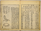 Illustrations of Famous Places in China, Gyokuzan (1737–1812), Six volumes of Woodblock printed books; ink on paper, Japan