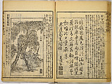 Illustrations of Famous Places in China, Gyokuzan (1737–1812), Six volumes of Woodblock printed books; ink on paper, Japan