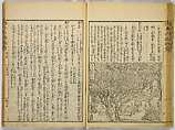Illustrations of Famous Places in China, Gyokuzan (1737–1812), Six volumes of Woodblock printed books; ink on paper, Japan