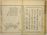 Illustrations of Famous Places in China, Gyokuzan (1737–1812), Six volumes of Woodblock printed books; ink on paper, Japan