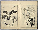 A Collection of Sketches, Sesshosai, Set of three woodblock printed books; ink on paper, Japan