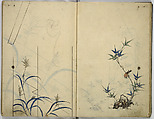 Hinagata cho (Model Book), Unidentified artist, Watercolor and ink on paper, Japan