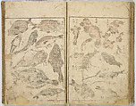 Random Sketches by Hokusai, Katsushika Hokusai (Japanese, Tokyo (Edo) 1760–1849 Tokyo (Edo)), Eight volumes of woodblock printed books; ink and color on paper, Japan