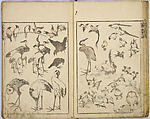 Random Sketches by Hokusai, Katsushika Hokusai (Japanese, Tokyo (Edo) 1760–1849 Tokyo (Edo)), Eight volumes of woodblock printed books; ink and color on paper, Japan