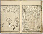 Random Sketches by Hokusai, Katsushika Hokusai (Japanese, Tokyo (Edo) 1760–1849 Tokyo (Edo)), Eight volumes of woodblock printed books; ink and color on paper, Japan
