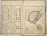 Random Sketches by Hokusai, Katsushika Hokusai (Japanese, Tokyo (Edo) 1760–1849 Tokyo (Edo)), Eight volumes of woodblock printed books; ink and color on paper, Japan