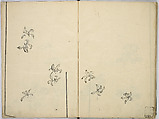 Book of Kimono Patterns, Unidentified artist, Ink drawings on paper, Japan