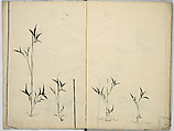 Book of Kimono Patterns, Unidentified artist, Ink drawings on paper, Japan