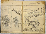 Collection of Pictures, After Tosa School, Ink on paper, Japan