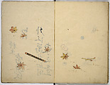 Illustrated book, Unidentified artist, Ink and watercolor on paper, Japan