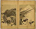 Hundred Views of Fuji, Katsushika Hokusai (Japanese, Tokyo (Edo) 1760–1849 Tokyo (Edo)), Ink on paper, Japan