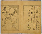 Hundred Views of Fuji, Katsushika Hokusai (Japanese, Tokyo (Edo) 1760–1849 Tokyo (Edo)), Ink on paper, Japan