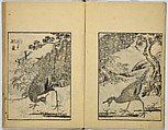 Model Painting Book, Unidentified artist Japanese, Fifty-seven black and white illustrations; ink on paper, Japan