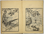 Model Painting Book, Unidentified artist Japanese, Fifty-seven black and white illustrations; ink on paper, Japan