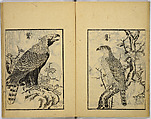 Model Painting Book, Unidentified artist Japanese, Fifty-seven black and white illustrations; ink on paper, Japan